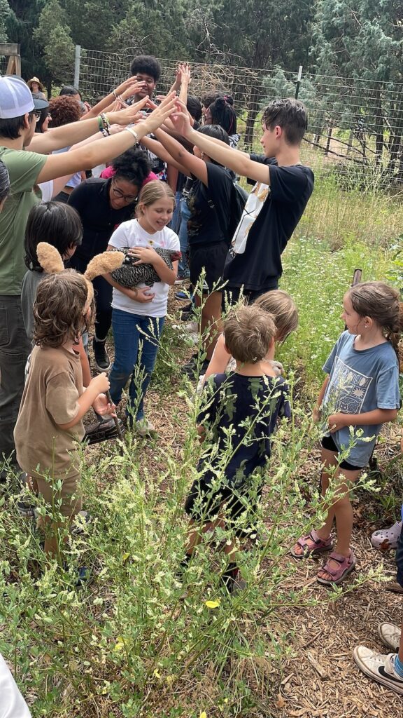 Campers participate Farm Camp's "Chicken Wedding", creating a tunnel of held hands to parade under, with chickens in the arms of the youngest (bravest!) campers.